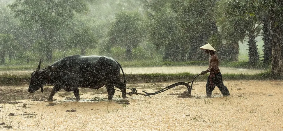 Holidays in Laos